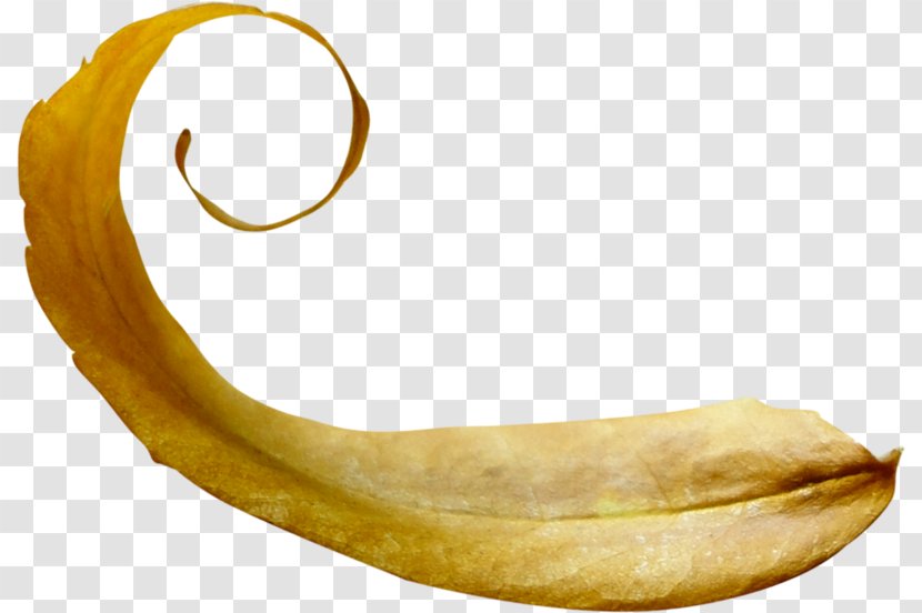 Banana - Family Transparent PNG