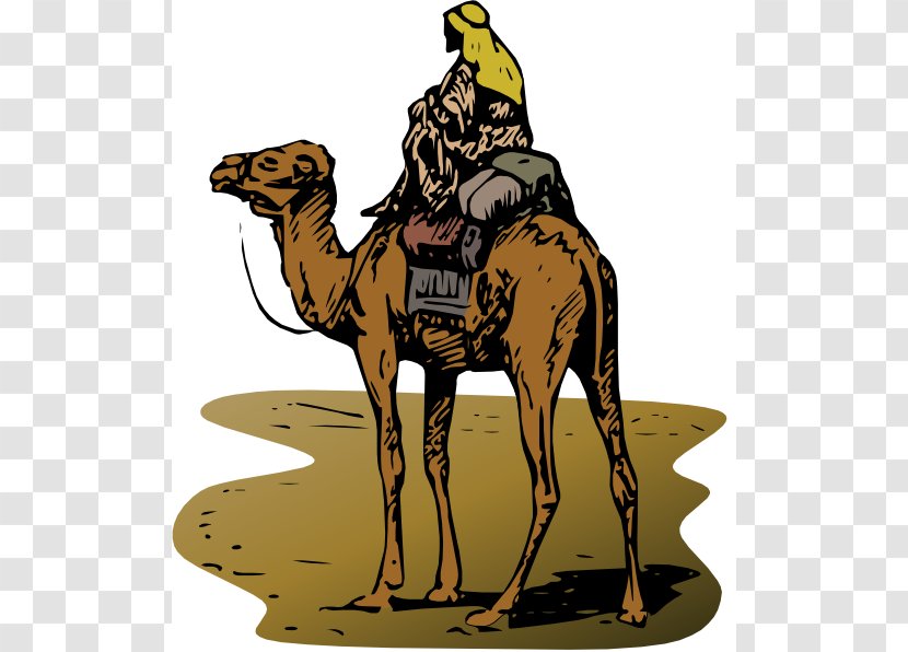 Silk Road Online Marketplace Bitcoin Illegal Drug Trade - Money - Camel Cliparts Transparent PNG