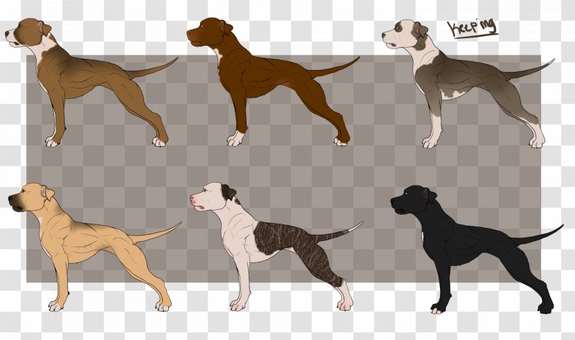 American Dog Breeders Association Pit Bull Terrier Bully Azawakh - Deviantart - Numba Transparent PNG