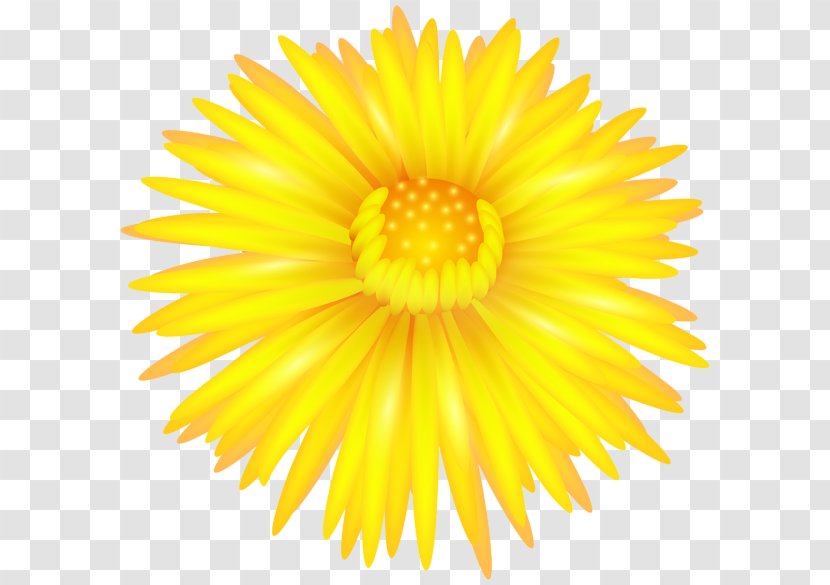 Clip Art - Flower - Yellow Transparent PNG