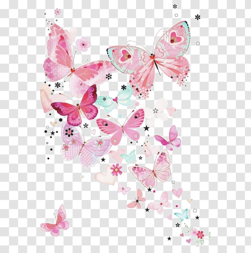 Butterfly Wallpaper - Moths And Butterflies Transparent PNG