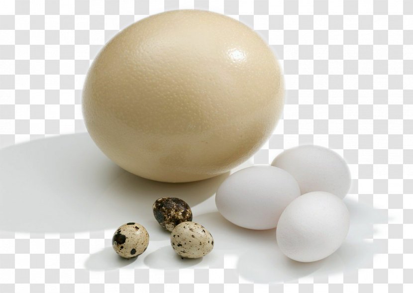 Chicken Goose Common Ostrich Duck Quail - Egg - Egg, Transparent PNG