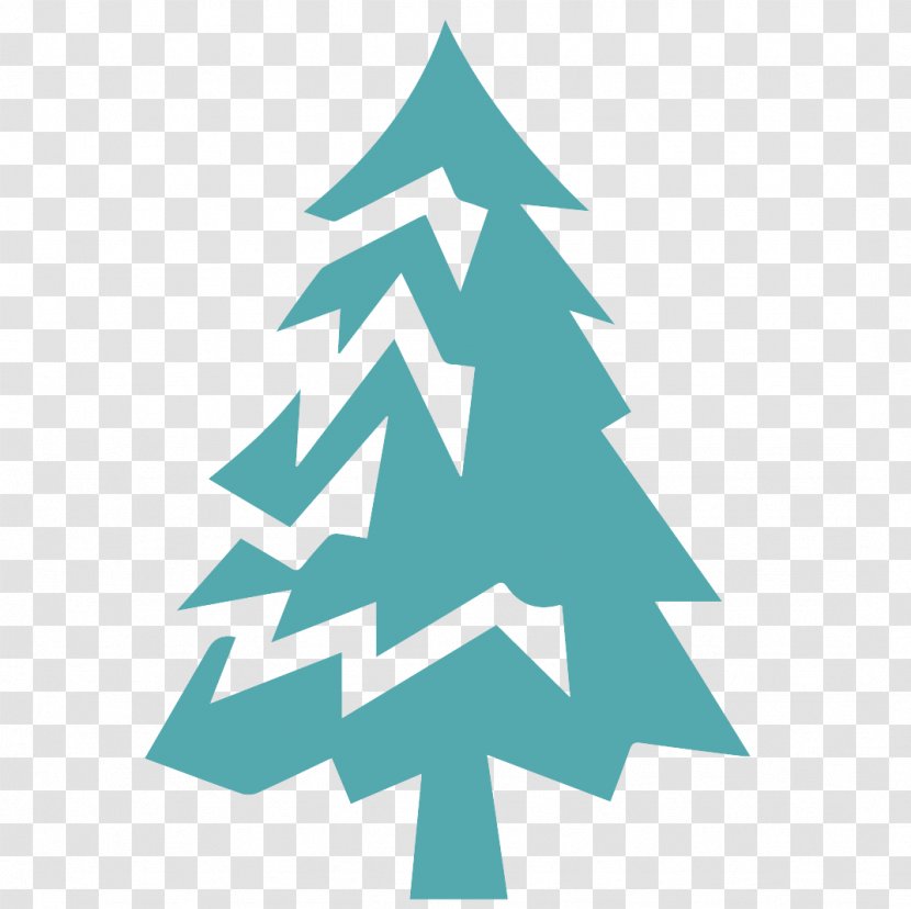 Christmas Tree - White Pine Family Transparent PNG