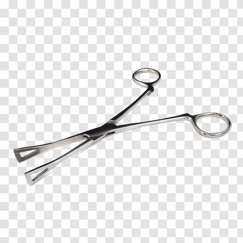 Forceps Surgical Instrument Surgery Scissors Tool - Hair Shear Transparent PNG