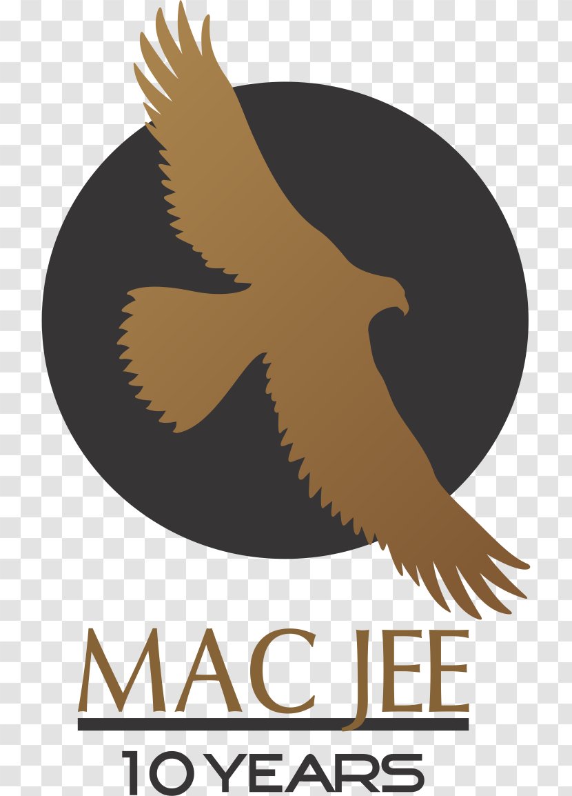 Eagle Logo Clip Art Font Brand - Bird Of Prey - Jee Main 2019 Transparent PNG