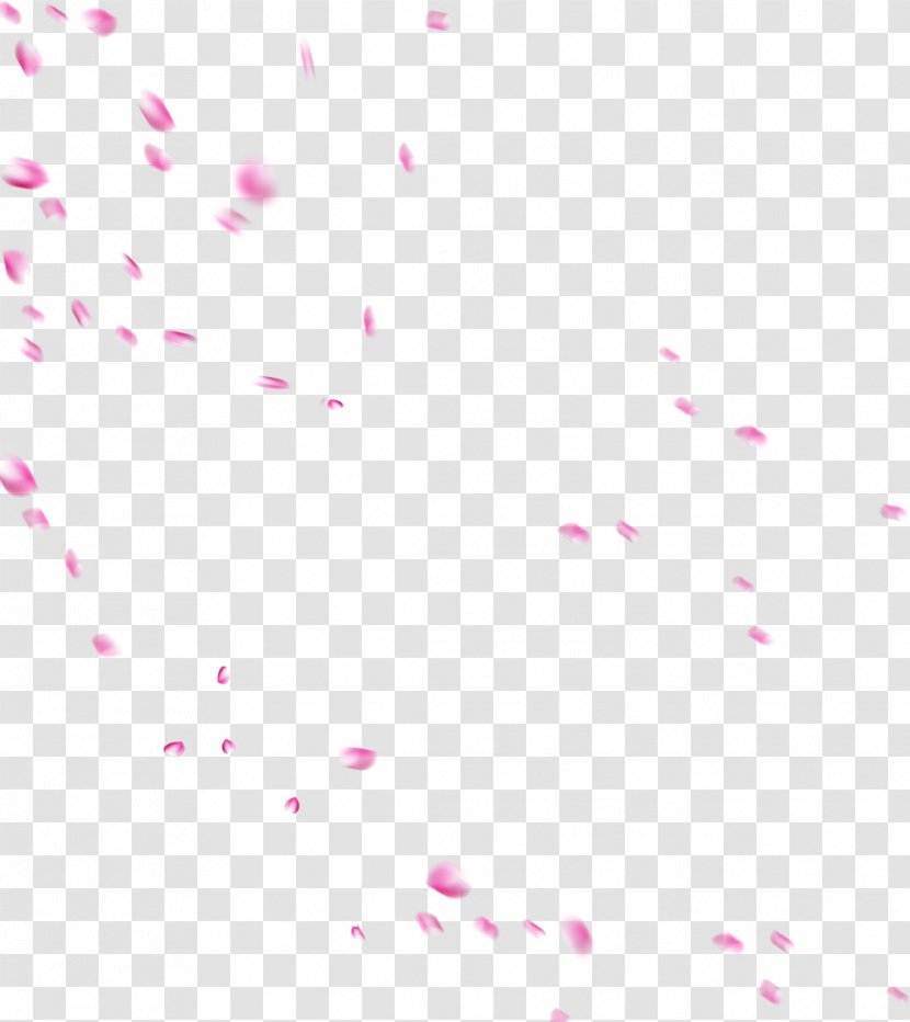 Pink Petal Rose - Artworks - Water Drops Petals Transparent PNG