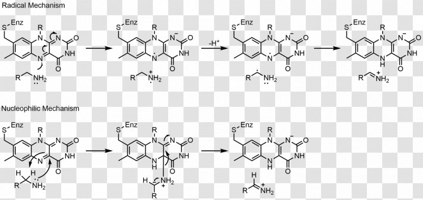 Flavin Adenine Dinucleotide Group Flavoprotein Redox Monoamine Oxidase - Flower - Cartoon Transparent PNG