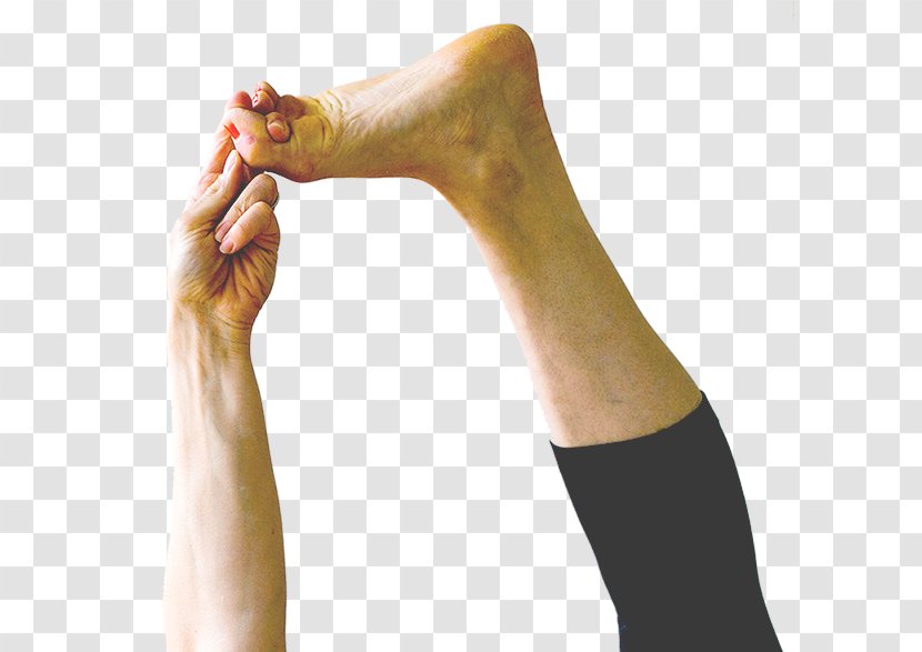 Meadowlark Yoga Finger Calf Shoulder - Flower - Hand Foot Transparent PNG