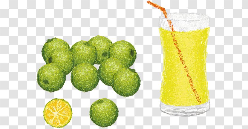 Lemon-lime Drink Juice Calamondin - Lime Transparent PNG