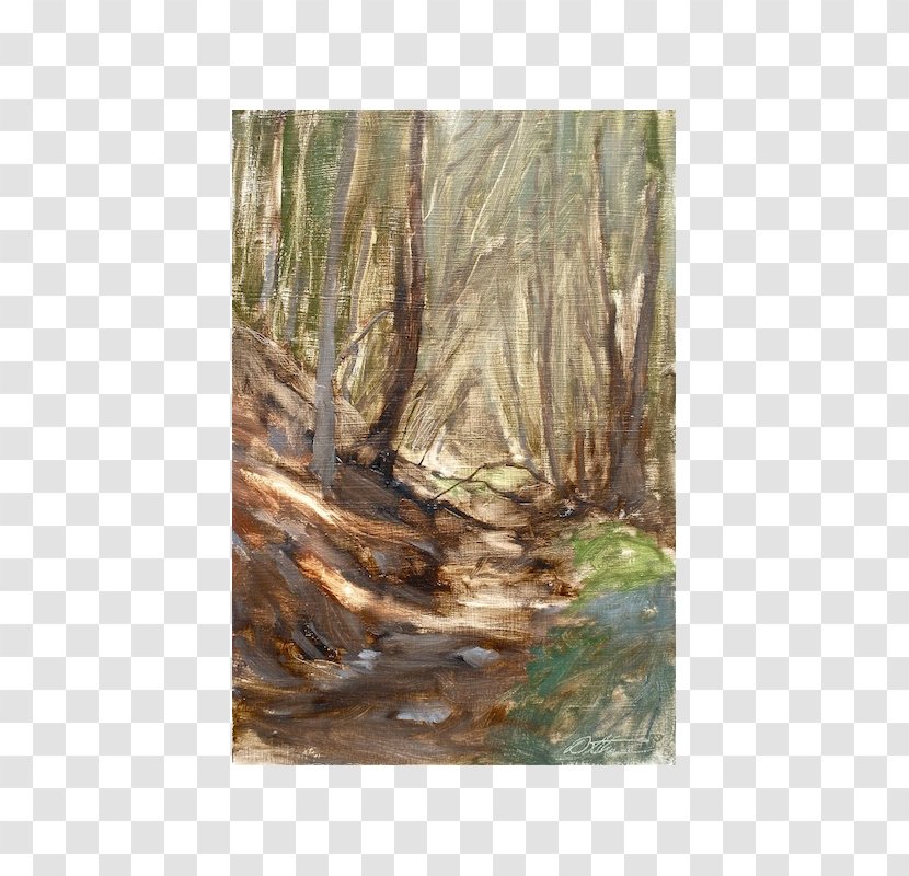 Bayou Woodland Painting Ecosystem - Grass Transparent PNG