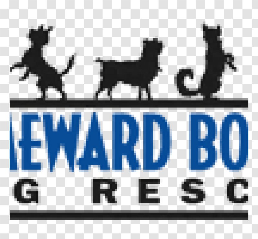 Dog Pet Adoption Animal Rescue Group - Frame Transparent PNG
