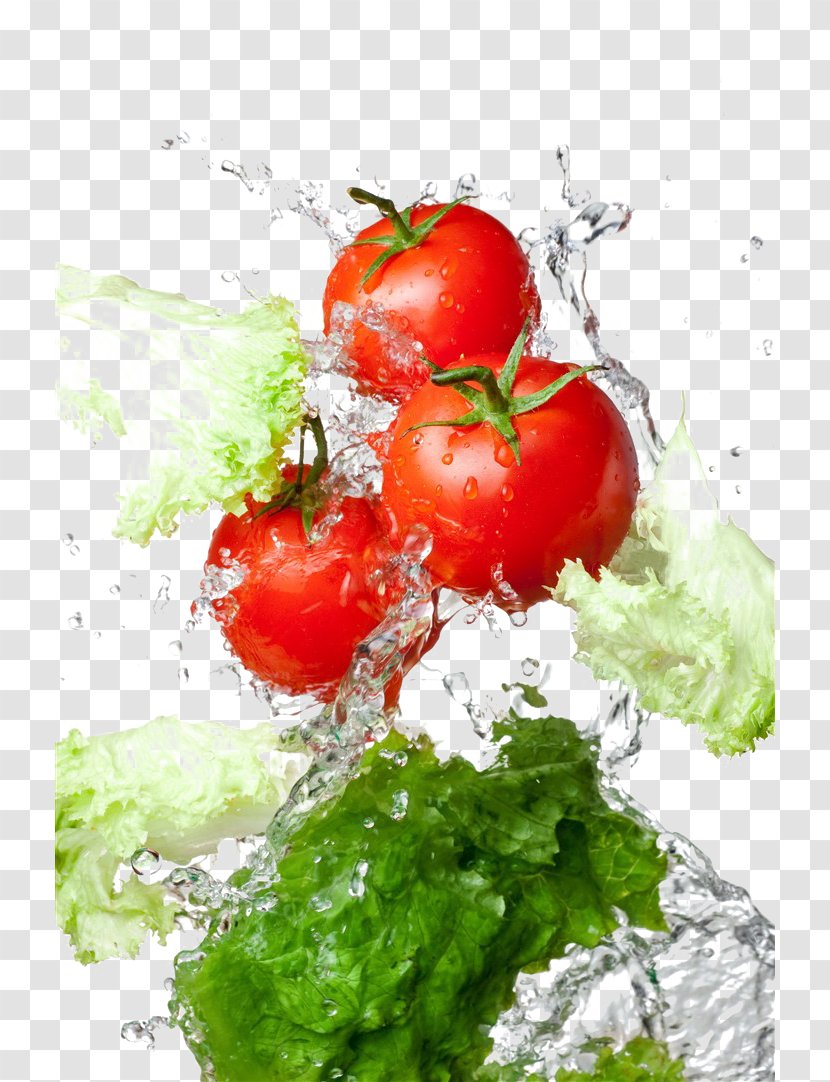 Pizza Tomato Water Fruit Food - Mineral Transparent PNG
