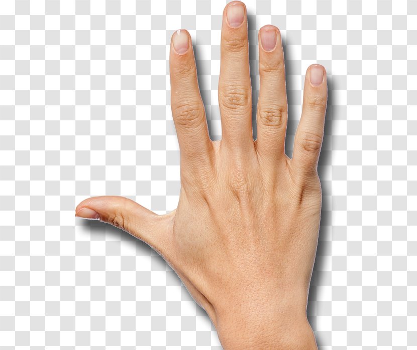 Handedness Finger Thumb - Cartoon - Left Hand Transparent PNG
