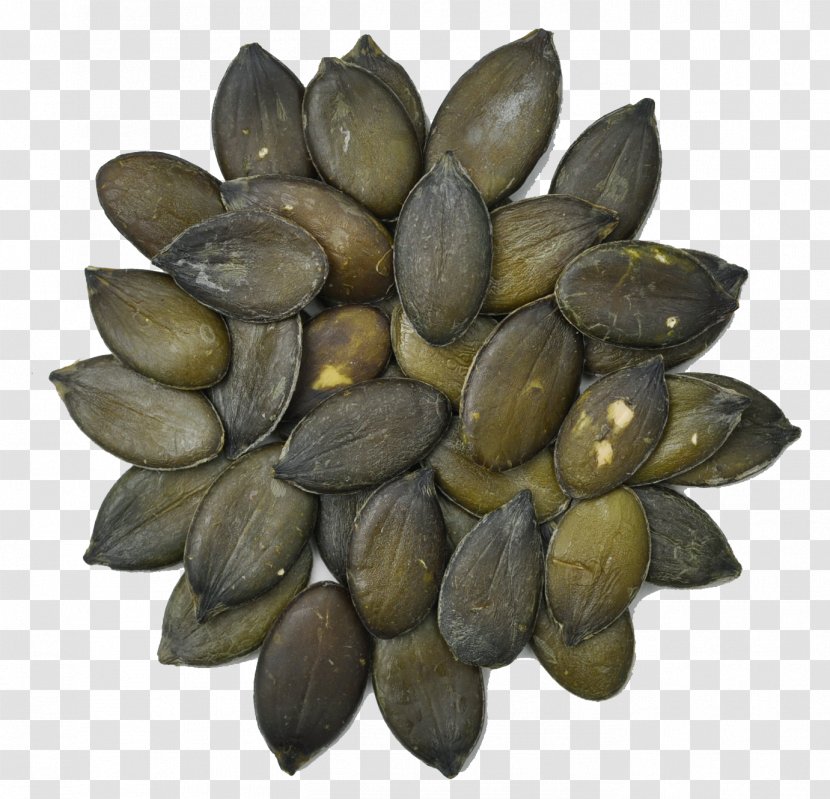 Vegetarian Cuisine Mussel Clam Seed Food - Pumpkin Seeds Transparent PNG