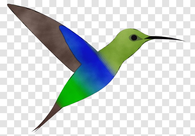 Mockingbird Cartoon - Feather - Bird Business Transparent PNG