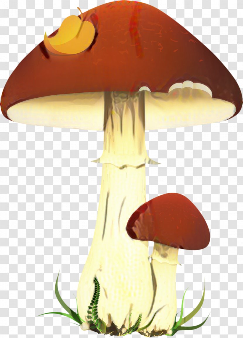 Mushroom Cartoon - Chanterelle - Bolete Agaricus Transparent PNG