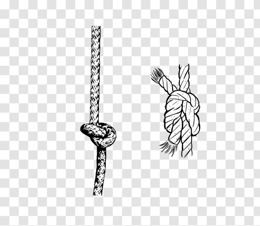 Rope Knot Cdr - Twine Transparent PNG
