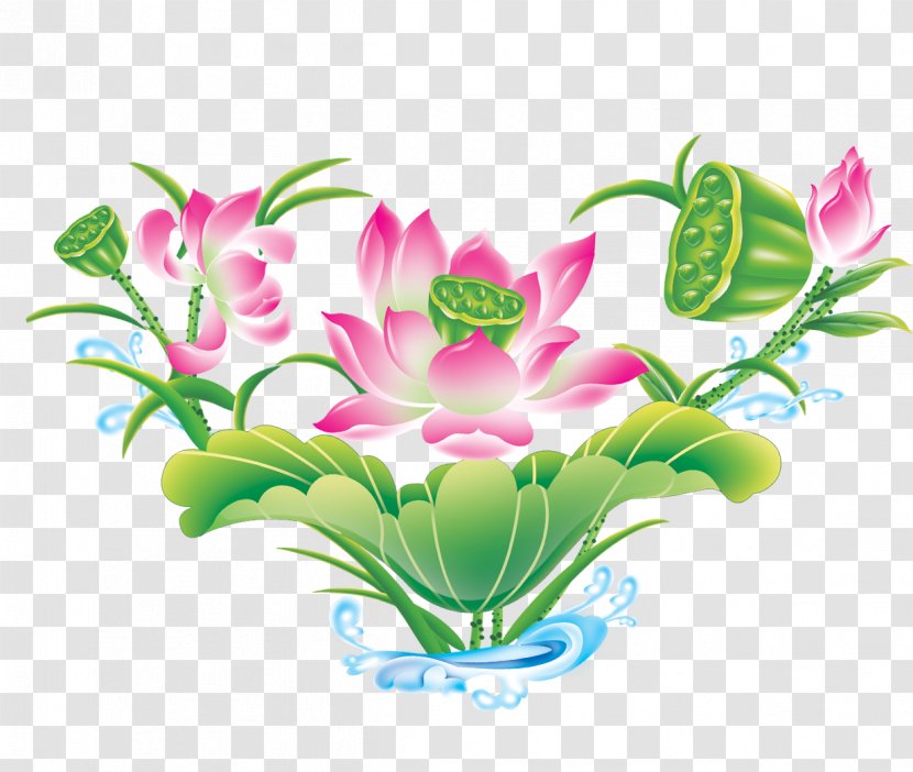 Nelumbo Nucifera Cartoon - Lotus Transparent PNG