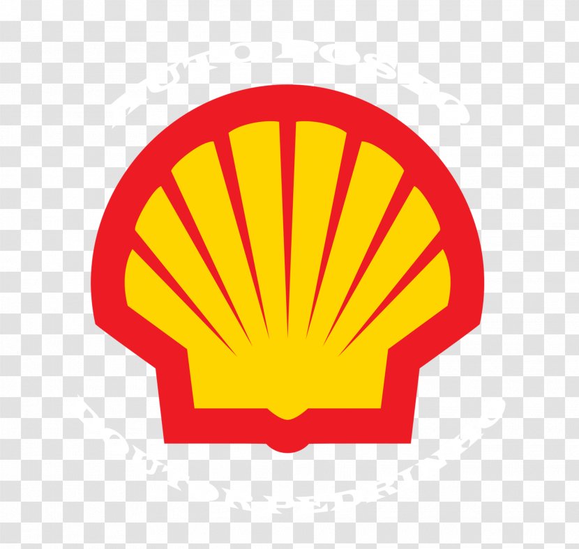 Logo Brand Company - Book Design - Shell Transparent PNG