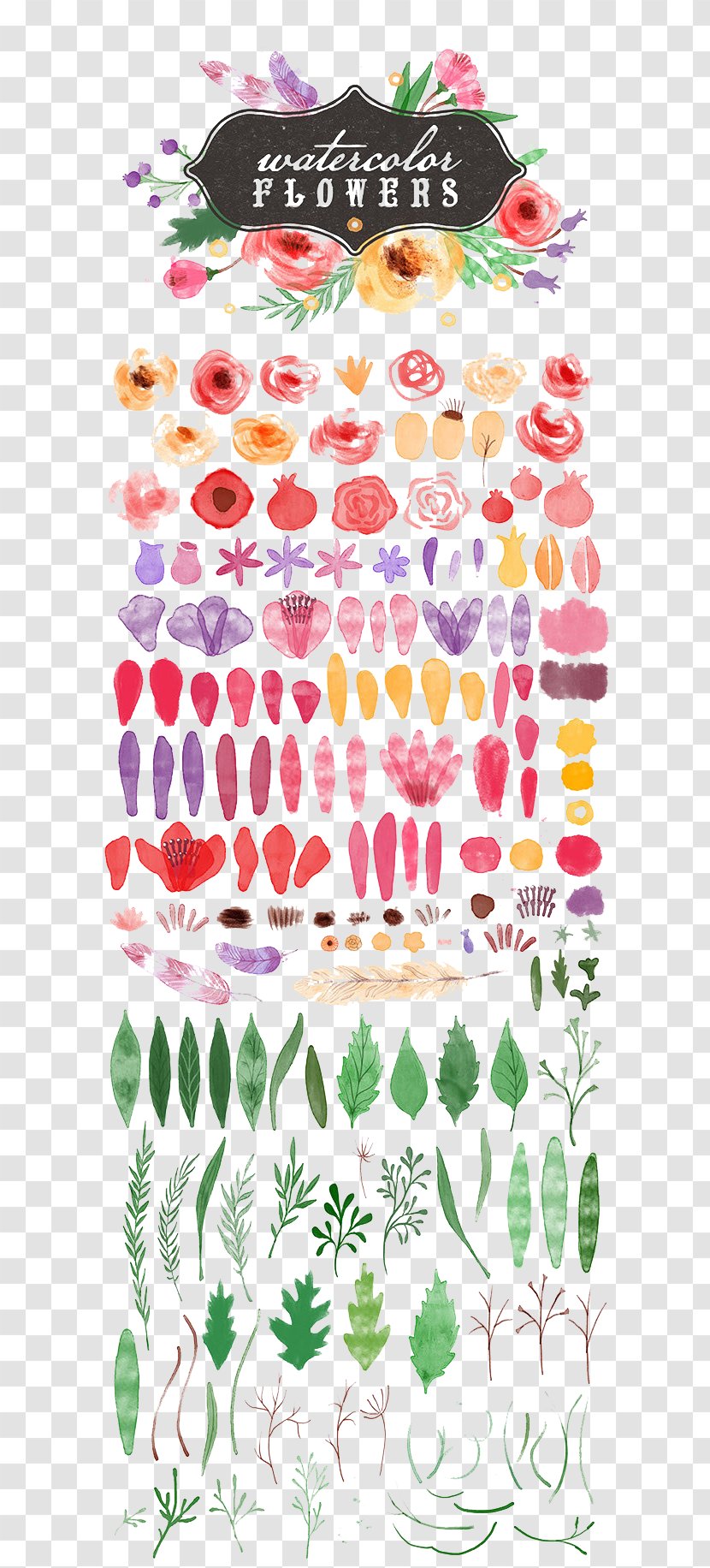 Watercolor Painting Illustration - Point - Floral Collection Transparent PNG