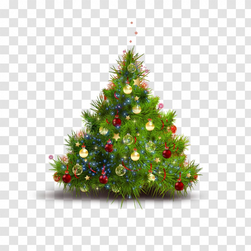 Ded Moroz Christmas Tree Desktop Wallpaper - Spruce Transparent PNG