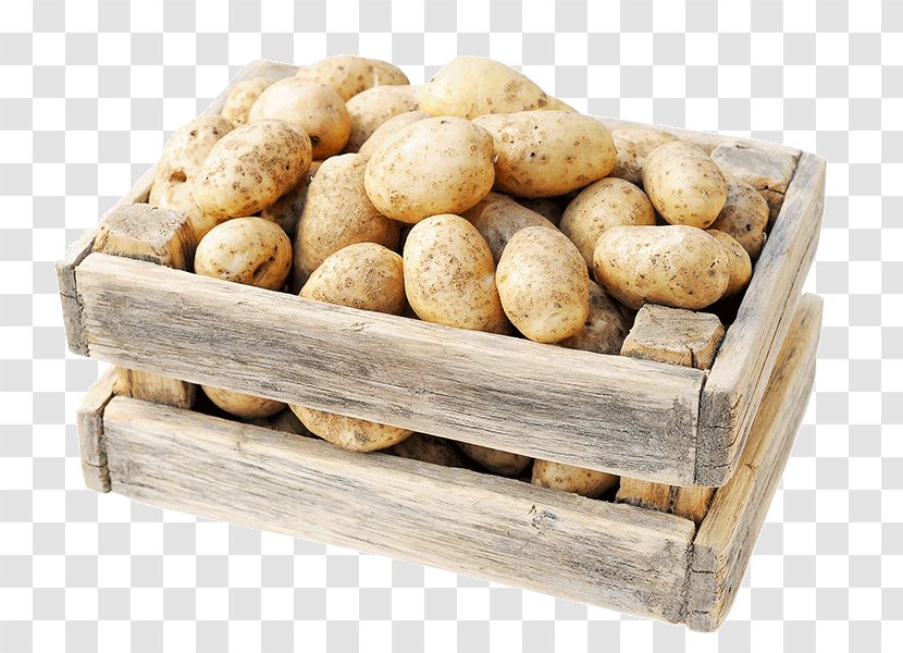 Potato Izambane Tuber Business Sales Transparent PNG