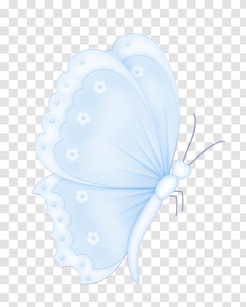 Butterfly Blue - Wing Transparent PNG