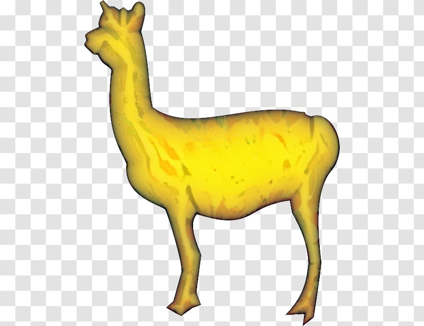 Deer Camel Mammal Yellow Fauna - Chamois - Roe Transparent PNG