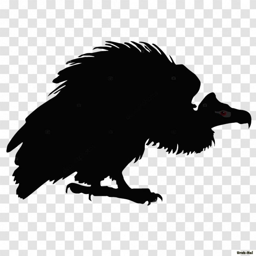 Turkey Vulture Drawing Line Art - Eagle Transparent PNG