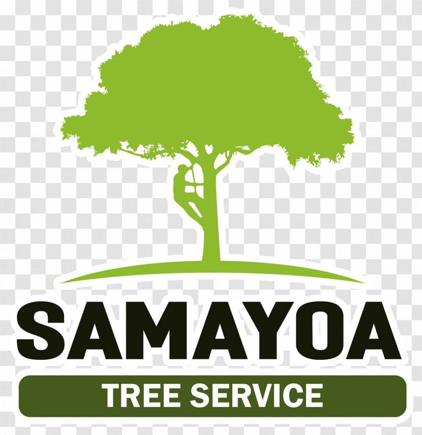 Samayoa Tree Service Sales Branding Agency - Green - Plant Transparent PNG