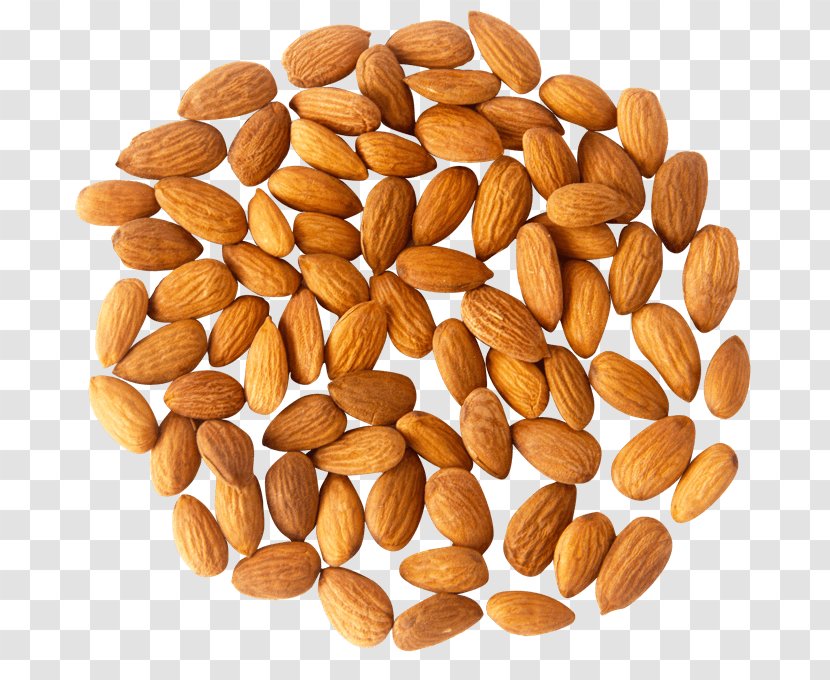 Nuts Almond Peanut Fat - Nut Transparent PNG