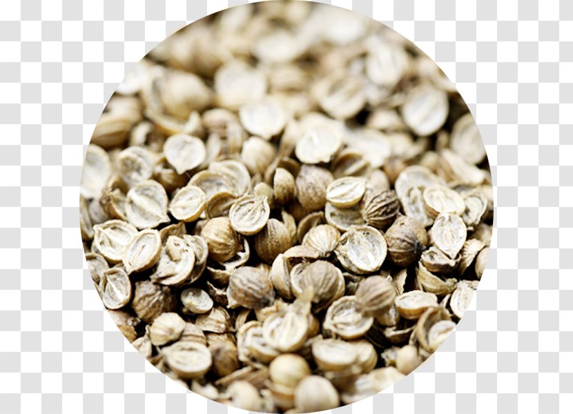 Metric Ton Krasnodar Krai Commodity Quantity - Ingredient - Coriander Transparent PNG