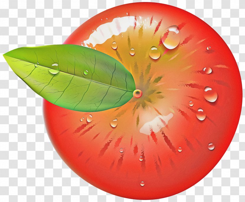 Fruit Cartoon - Food Seedless Transparent PNG