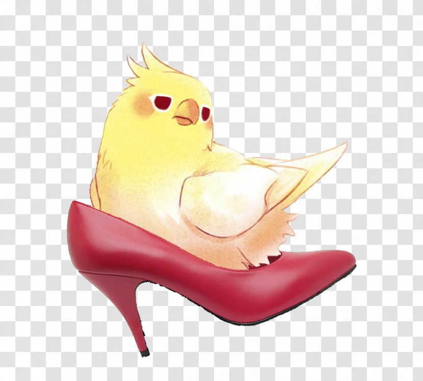Cockatiel High-heeled Shoe Drawing Bird Transparent PNG