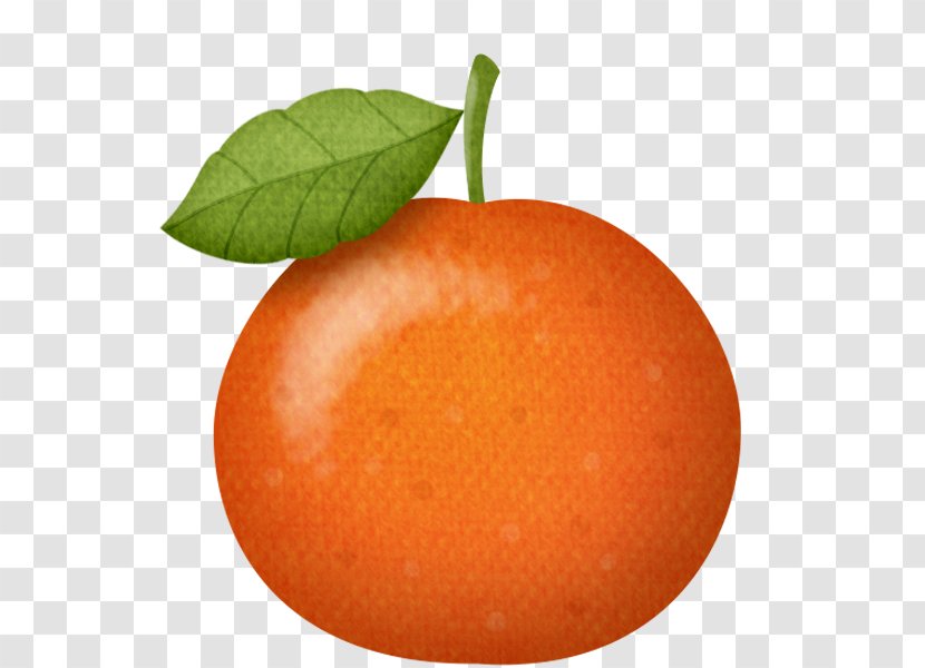 Mandarin Orange Chinese New Year Tangerine Tangelo - Hug Transparent PNG