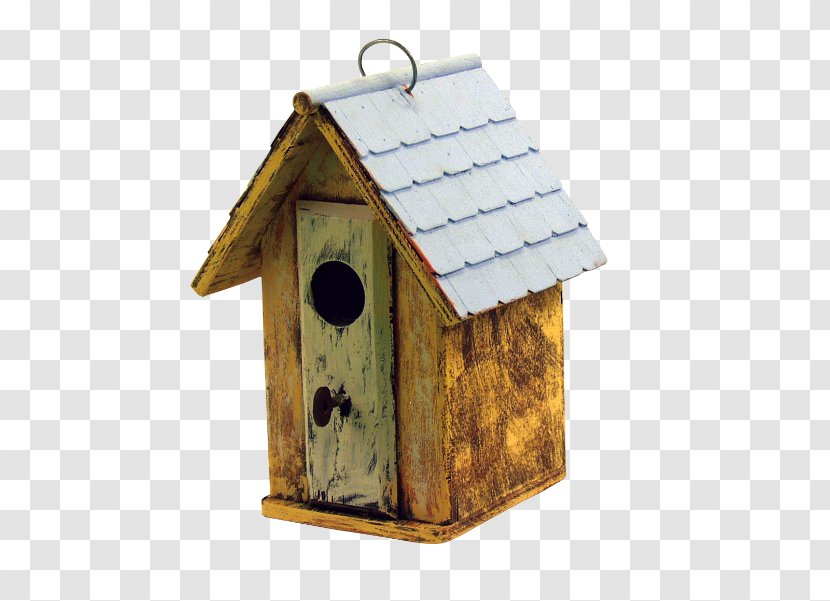 Western Bluebird Nest Box Bird House - Door Transparent PNG