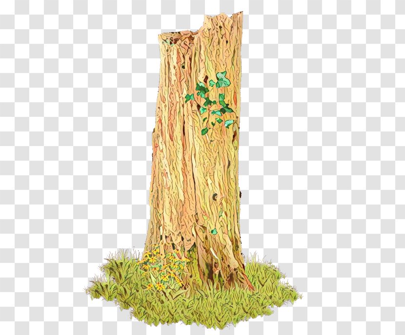 Tree Stump - Grass - Plant Stem Transparent PNG