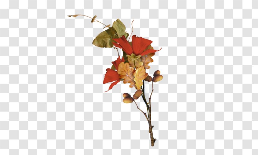 Autumn Clip Art - Microsoft Paint - Falling Flowers Transparent PNG