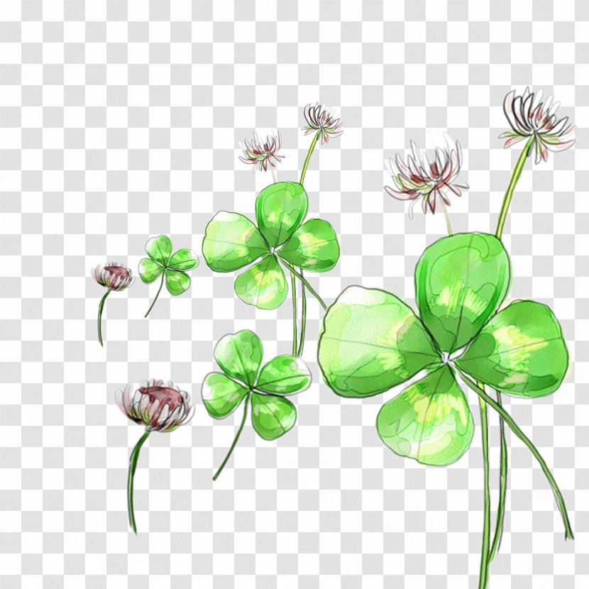 Four-leaf Clover - Red - Flower Picture Material Transparent PNG
