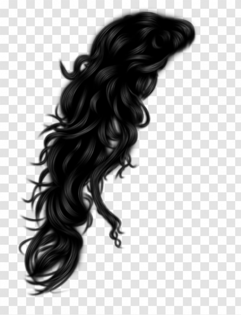 Black Hair Hairstyle Wig - Coloring Transparent PNG