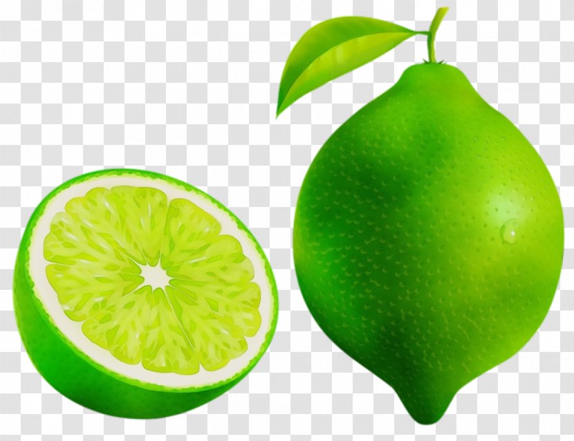 Persian Lime Green Fruit Citrus Plant - Key Food Transparent PNG