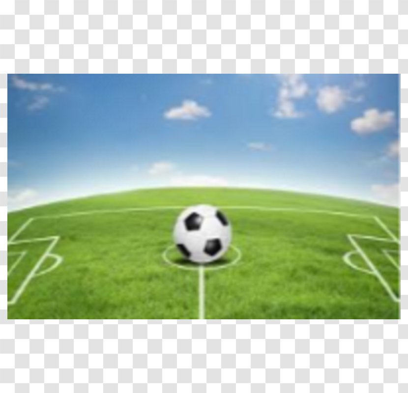 Football Pitch Soccer-specific Stadium Team - Net Transparent PNG