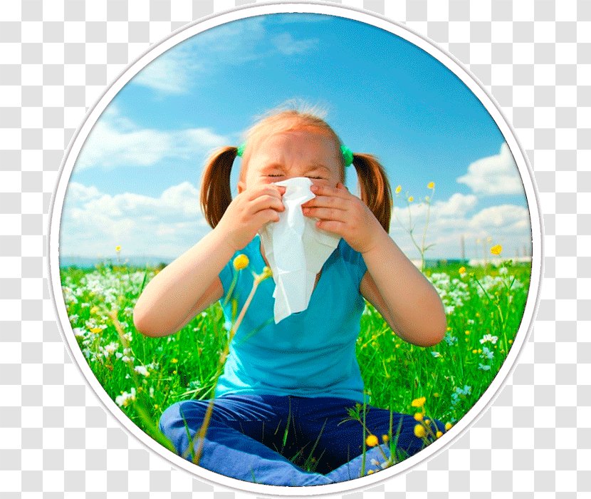Hay Fever Allergy Rhinorrhea Symptom Asthma - Water - Air Medical Services Transparent PNG