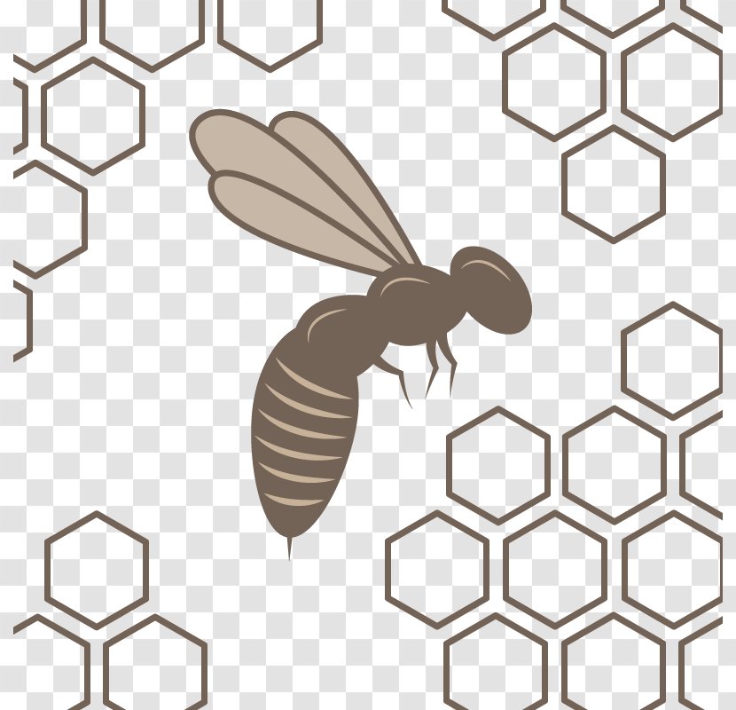 Honey Bee Honeycomb Beehive Pattern - Nest - Vector Transparent PNG