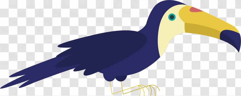 Bird Parrot Toucan Wildlife - Drawing - Cartoon Vector Transparent PNG