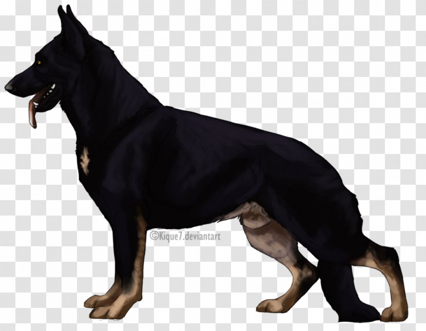 Ormskirk Terrier German Shepherd Kunming Wolfdog Australian Kelpie Berger Blanc Suisse - Cattle Dog - Militant Mayhem Transparent PNG