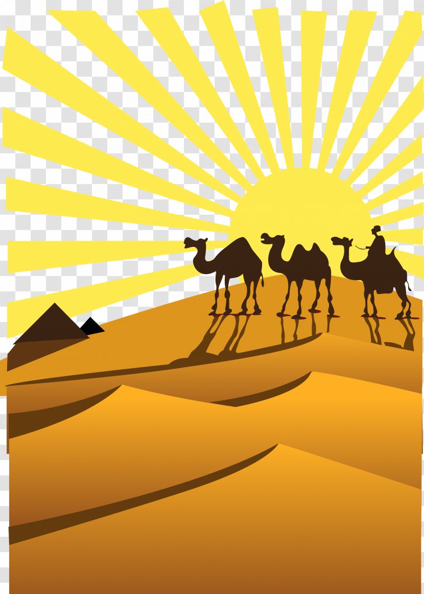 Sahara Desert Camel Clip Art - Sunset Transparent PNG