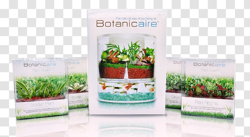 In Vitro Pte Ltd | Botanicaire Plant Research Microorganism - Botanic Transparent PNG