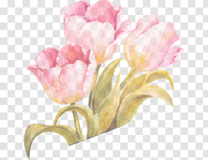 Watercolor: Flowers Watercolor Painting Vector Graphics Tulip - Botany Transparent PNG