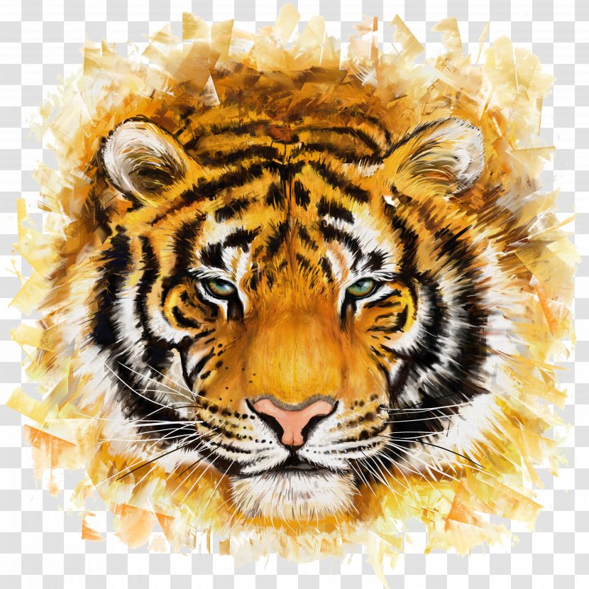 Bengal Tiger Felidae Painting Illustration - Cat Like Mammal Transparent PNG